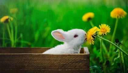 开云中国-中村敬斗：助攻有一半是凭感觉 击败英格兰很大程度提振球队士气